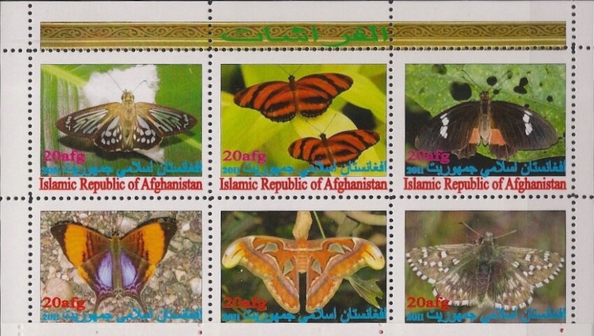 Cocker Spaniel (Canis lupus familiaris)