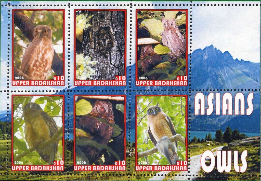 Bellybutton Nautilus (Nautilus macromphalus), optd O.H.M.S.