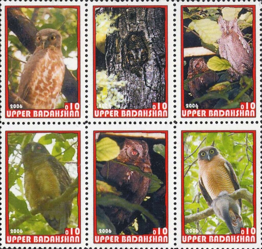 Leopard (Panthera pardus)