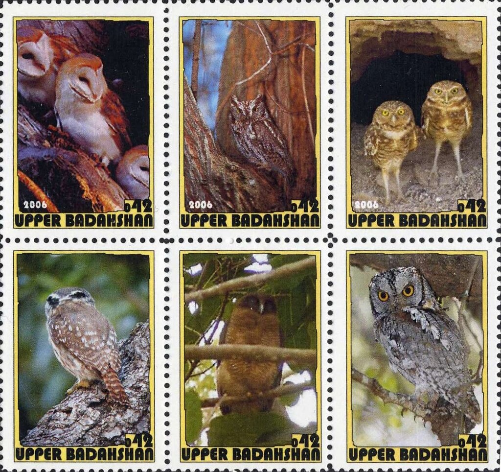 Eurasian Spoonbill (Platalea leucorodia)