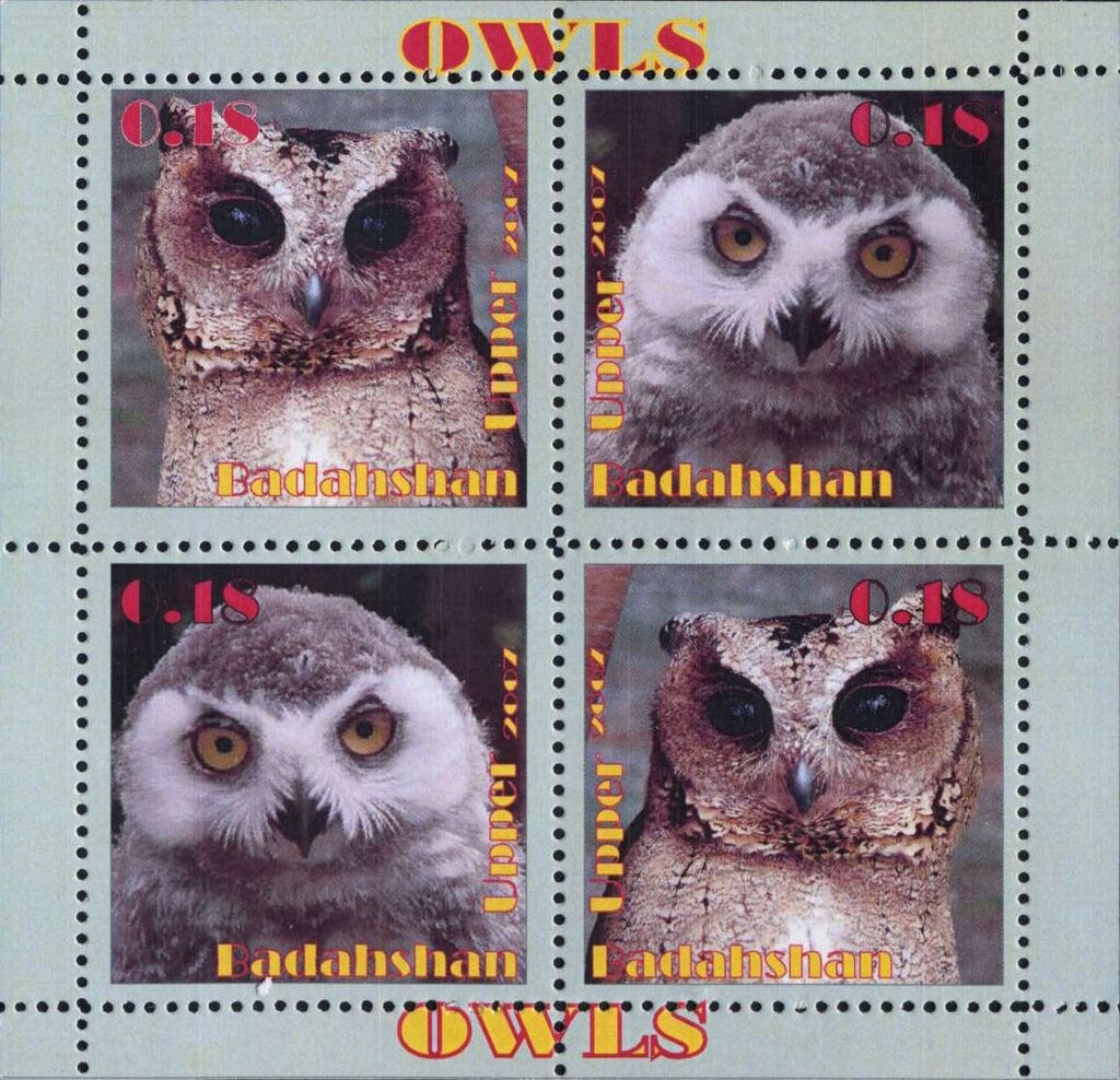 Red-headed Parrotfinch (Erythrura cyaneovirens)