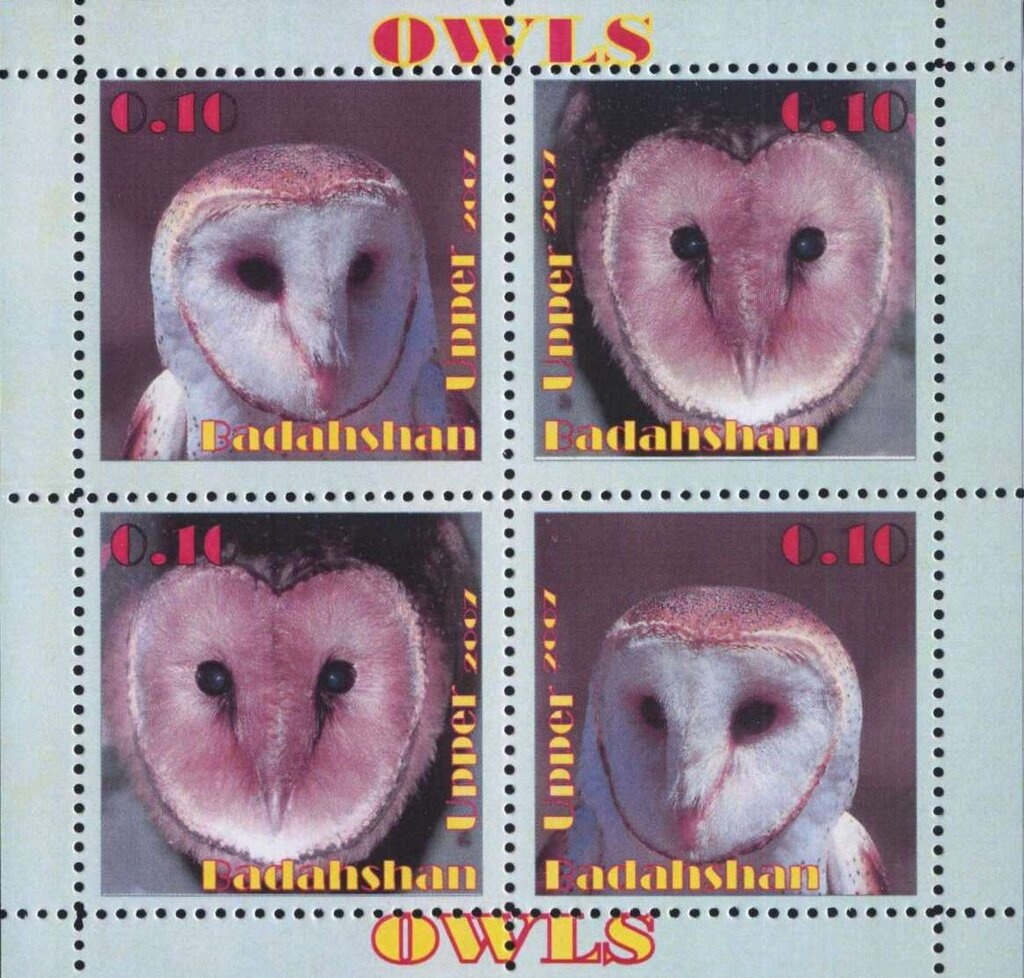 Tulips and Narcissus