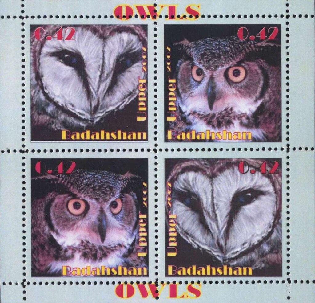 Horse (Equus ferus caballus), Merychippus (Miocene)