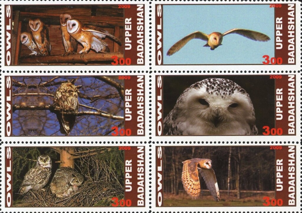 Sheikh Rashid and Car