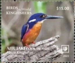 Marco Polo Argali (Ovis polii)