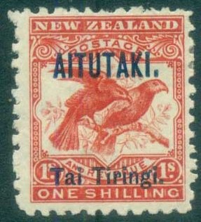 Chatham Albatross (Thalassarche eremita)