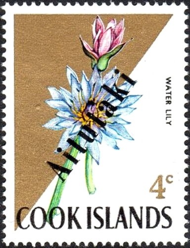 Staff god image, Rarotonga