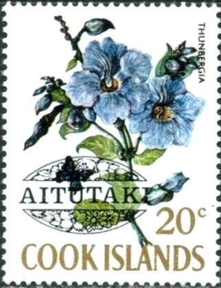 Woman in National Costume