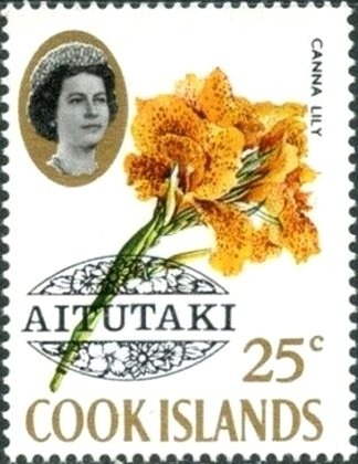 Border Collie (Canis lupus familiaris)