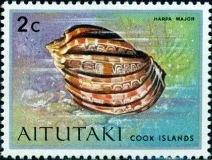 Anopheles Mosquito (Anopheles sp.)