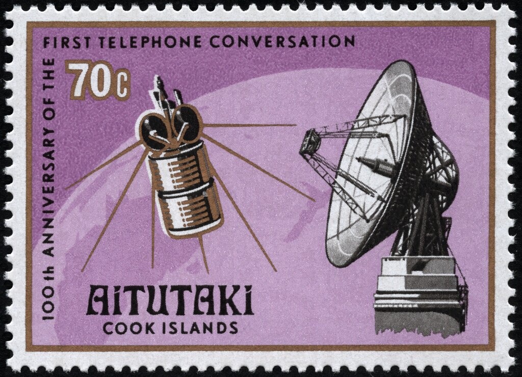 Chanterelle (Cantharellus cibarius)