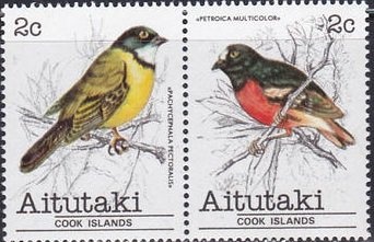 Striped Dolphin (Stenella coeruleoalba)