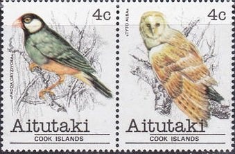 Peacock Grouper (Cephalopholis argus)