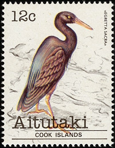 Apollo and Gemini Program