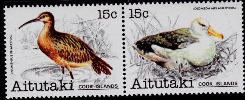 Buzkashi Game, Horse (Equus ferus caballus)