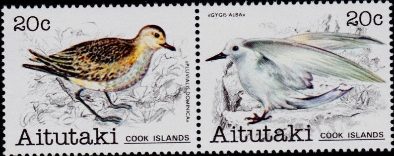 Cut Square 28 mm, year 1298