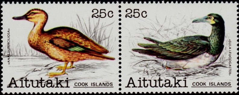 Duchess of Cambridge meeting Scottish scouts, Prince William