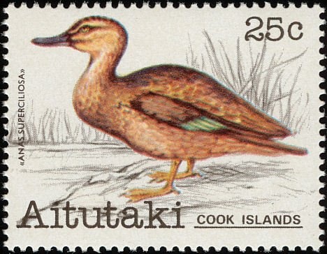 Wedding of Prince Harry and Meghan Markle