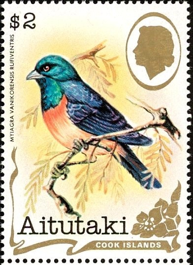 Chatham Albatross (Thalassarche eremita) - Surcharged