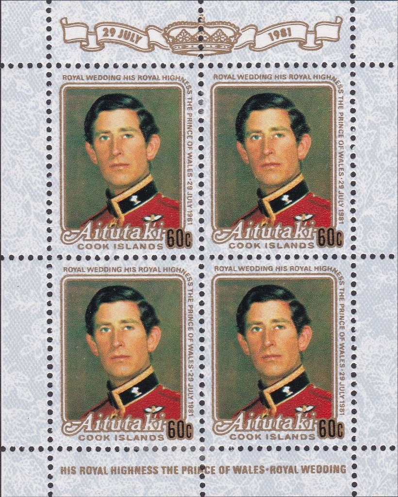 Horn of plenty (Craterellus cornucopioides)