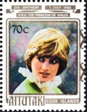 Buzkashi Game, Horse (Equus ferus caballus)