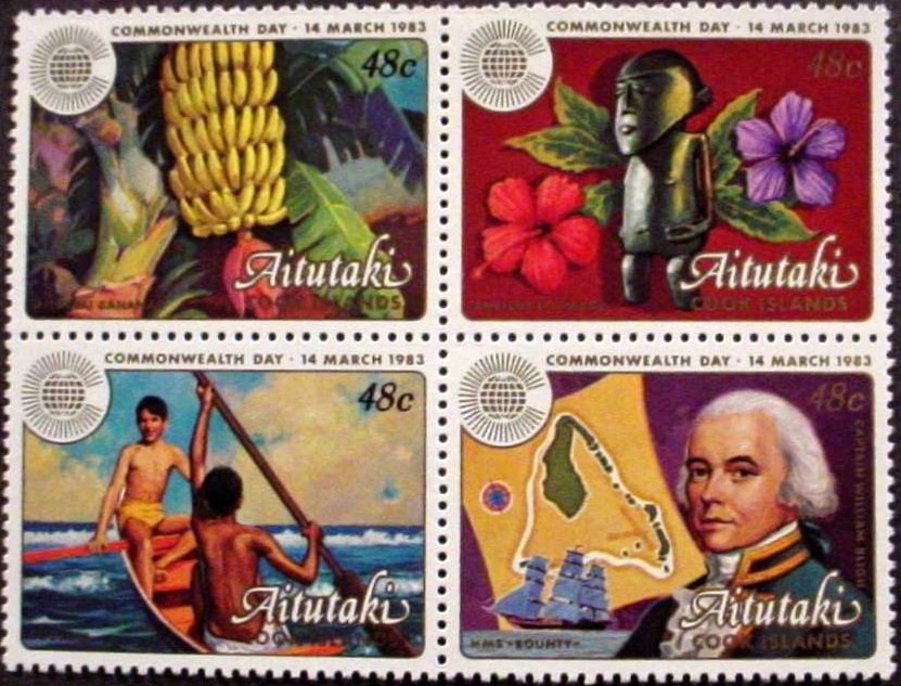 Rosy-collared Lovebird (Agapornis roseicollis)