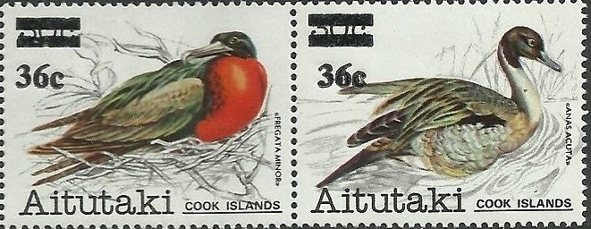 Saber-toothed Tiger (Smilodon sp.)