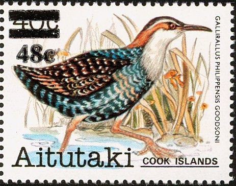 Woman, pills, blood-stained hankerchief