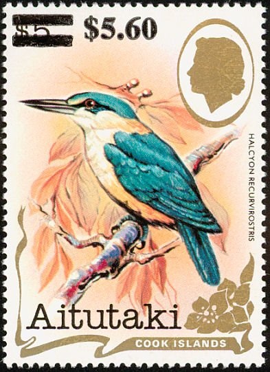 Dutar (Afghan Notched Lute)