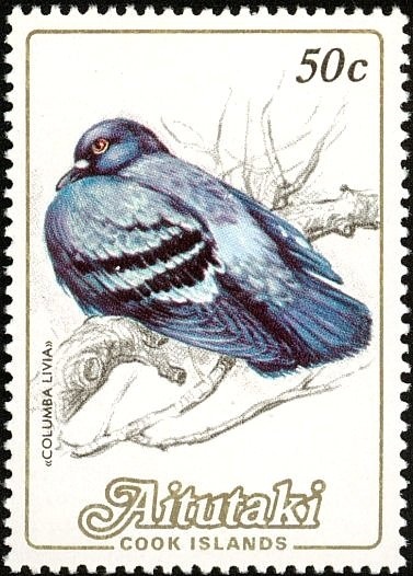 Birth of Princess Charlotte