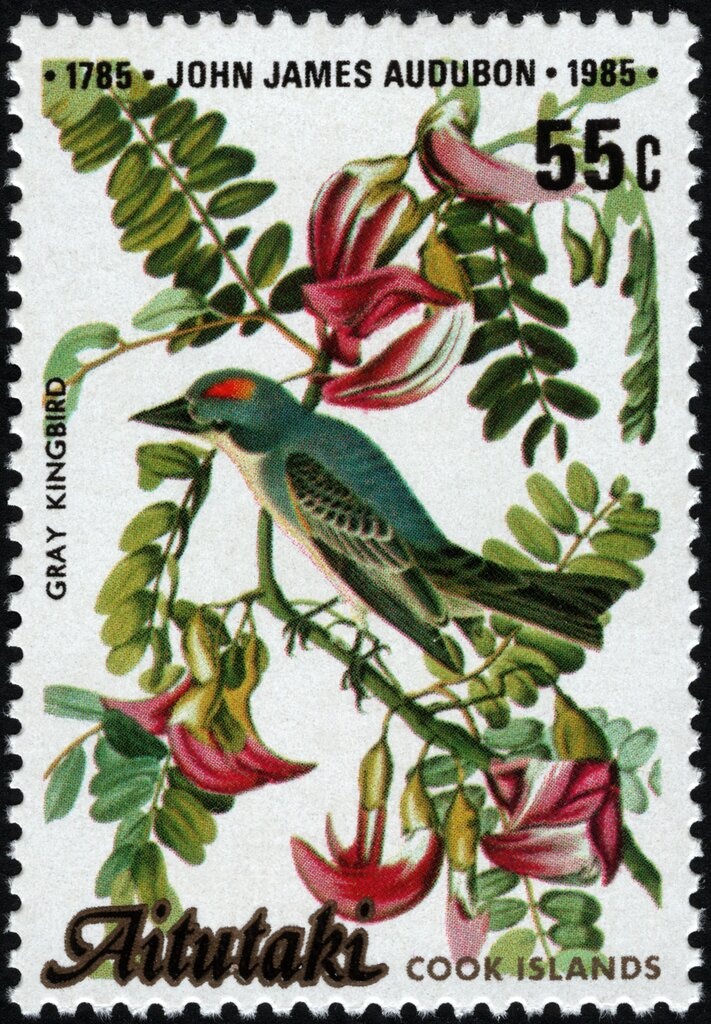 Gymnastics on the Pommel Horse