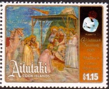 Dromedary (Camelus dromedarius)