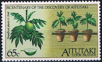 Ski Jumping - Speed Skating