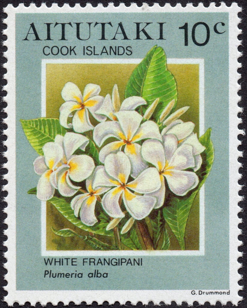 Male Portrait, by Titian