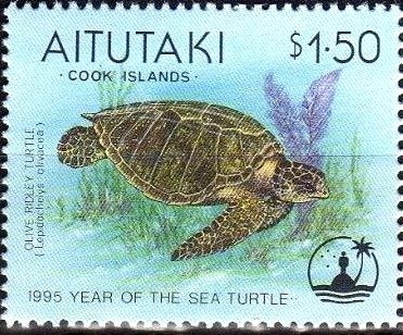 Crowned Eagle (Stephanoaetus coronatus)