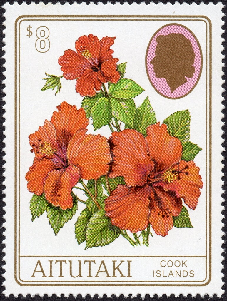 Humpback Whale (Megaptera novaeangliae)