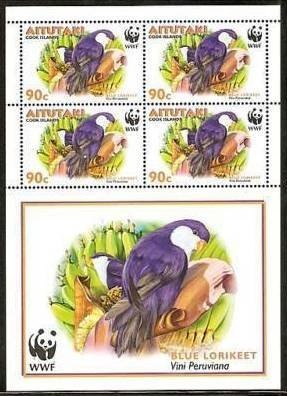 White-winged Crossbill (Loxia leucoptera)