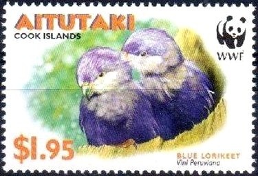 Chanterelle (Cantharellus cibarius)