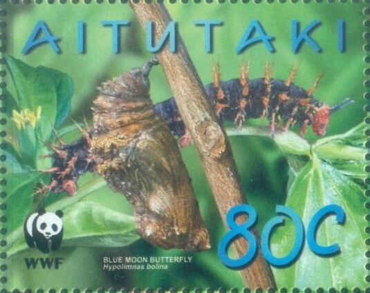 Christmas - Virgin and Child Paintings