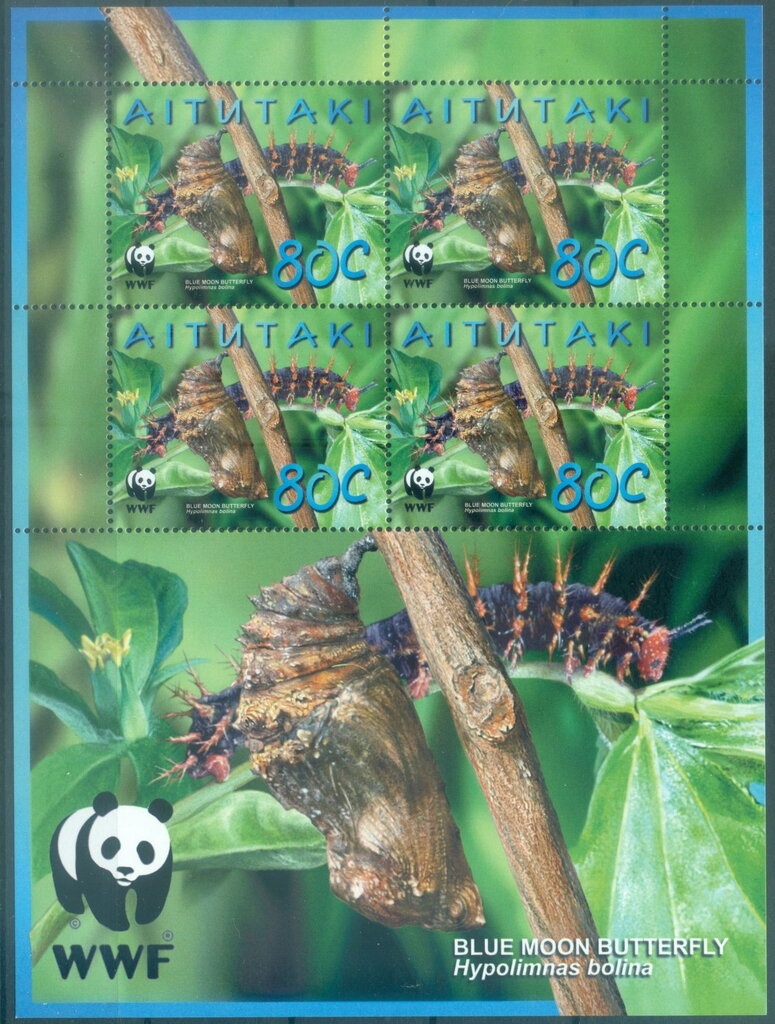 16th anniversary of the U.N.