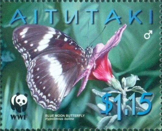 Paintings The Impressionists Mary Cassatt