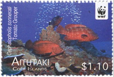 Christmas message to the shepherds