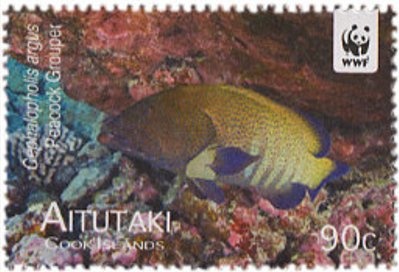 Apollo and Gemini Program