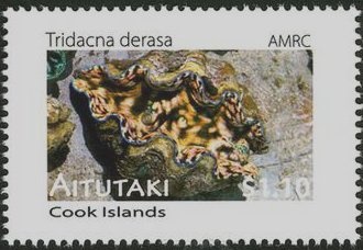 Uprooted Tree, surch +25 Ps