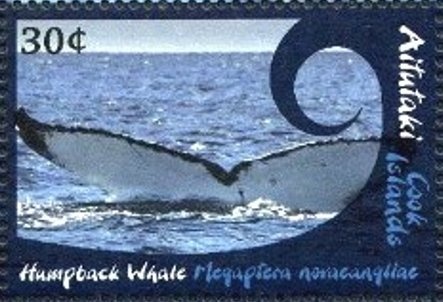 Brown Booby (Sula leucogaster) - surcharged