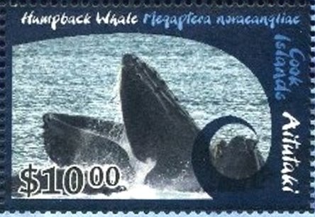 Birth of Prince Henry of Wales