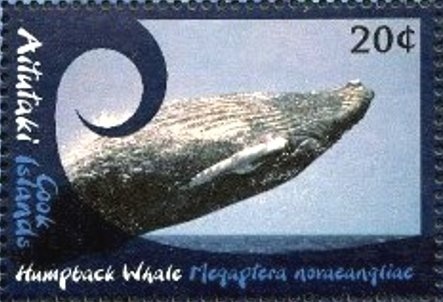 Saber-toothed Tiger (Smilodon sp.)