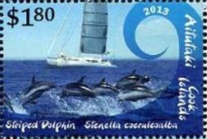 Peregrine Falcon (Falco peregrinus)