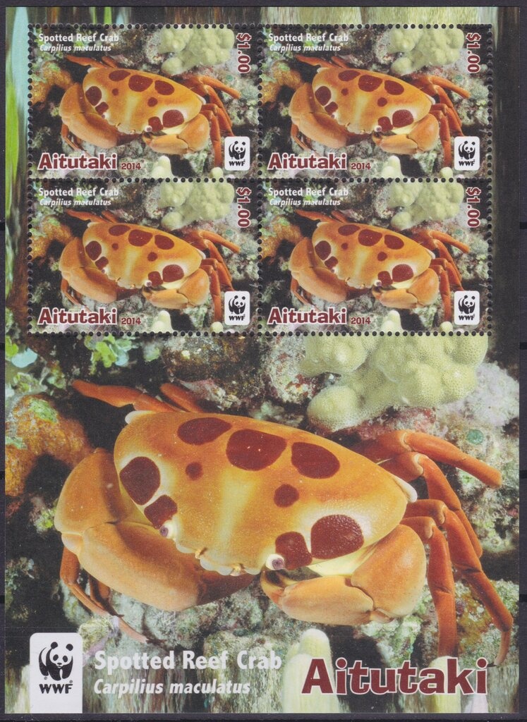 Mexico 1968, Hammer throw