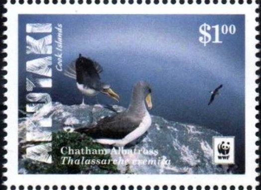 Azure Kingfisher (Ceyx azureus)